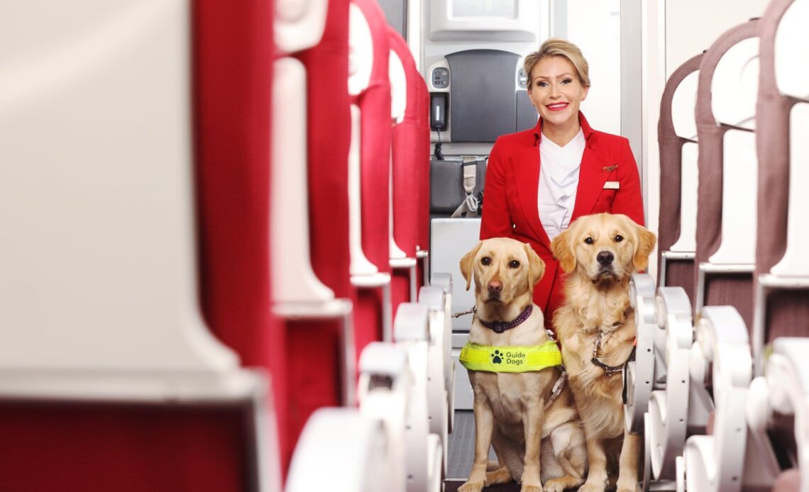 Airline cabin crew to work with Guide Dogs to help support those with a visual impairment