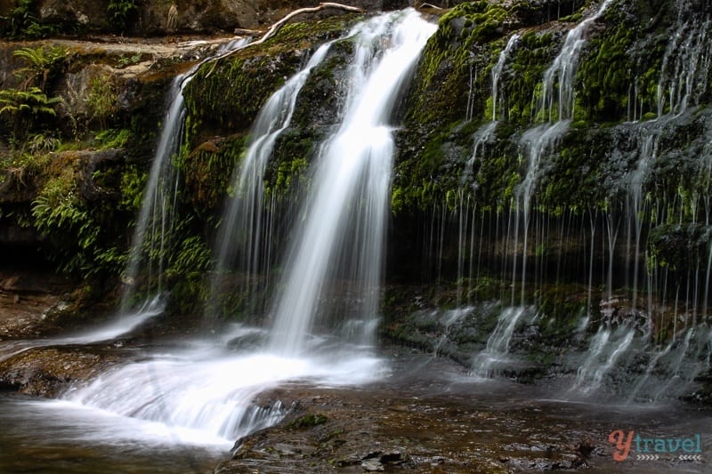 Liffey Falls Tasmania cascading over rocks