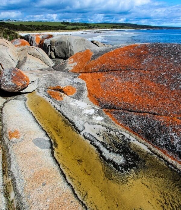 a  beach with orange lichen on the rocks