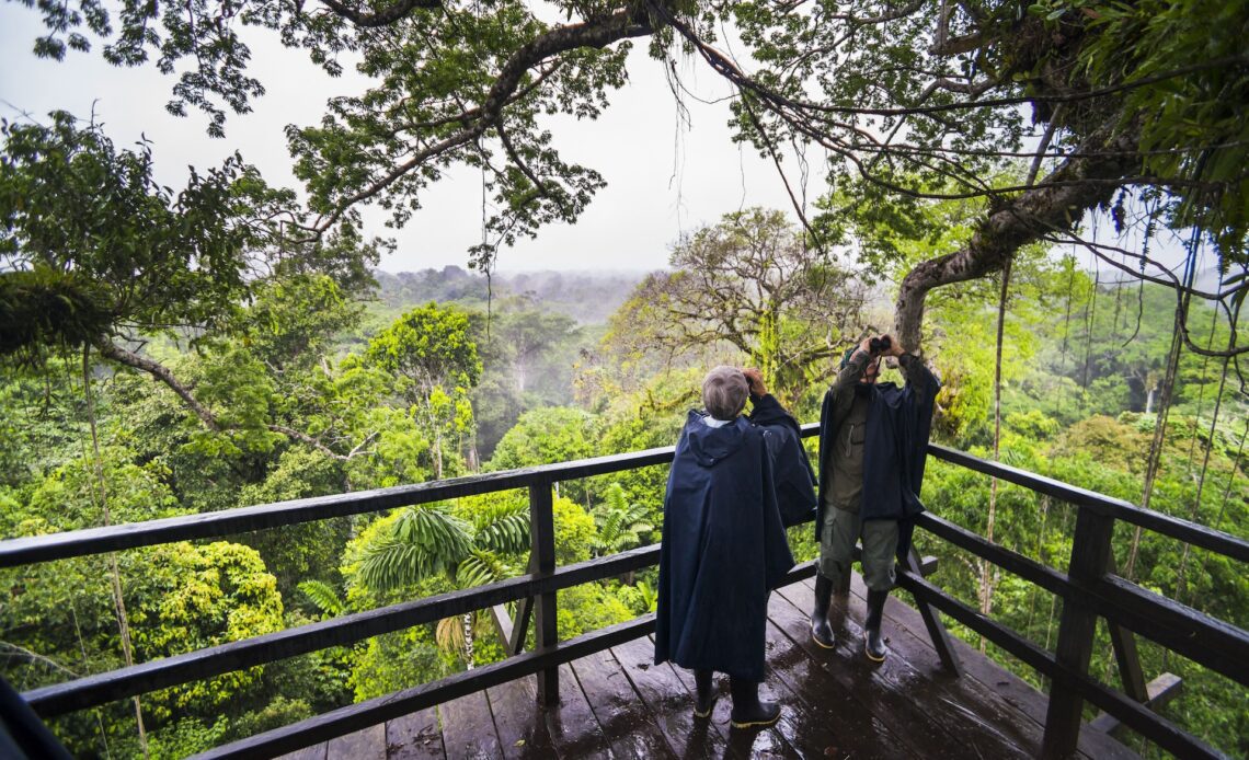 People birdwatch from a tower in the Amazon Rainforest.