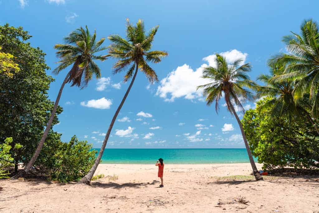 Person Standing In Between Trees Magnetic Island Accommodation