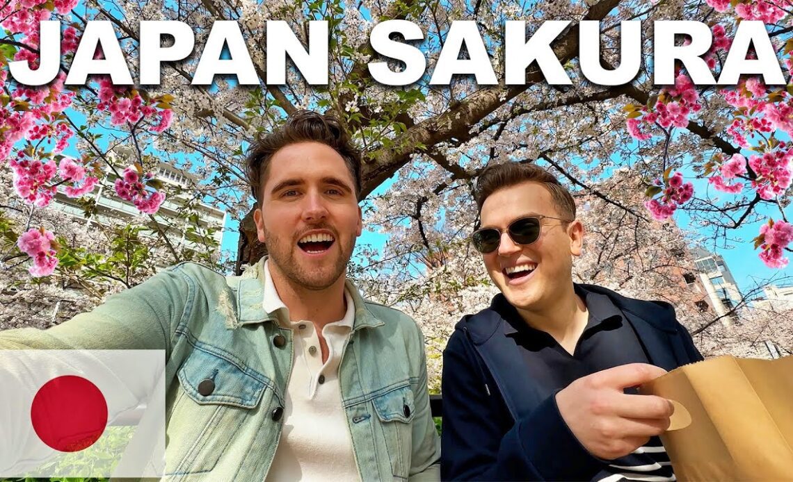 We FINALLY Went Back To JAPAN