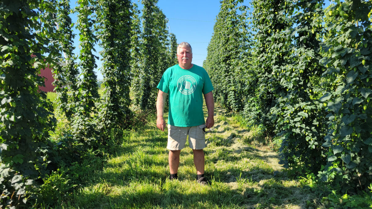 Hop Garden - Wisconsin grown hops