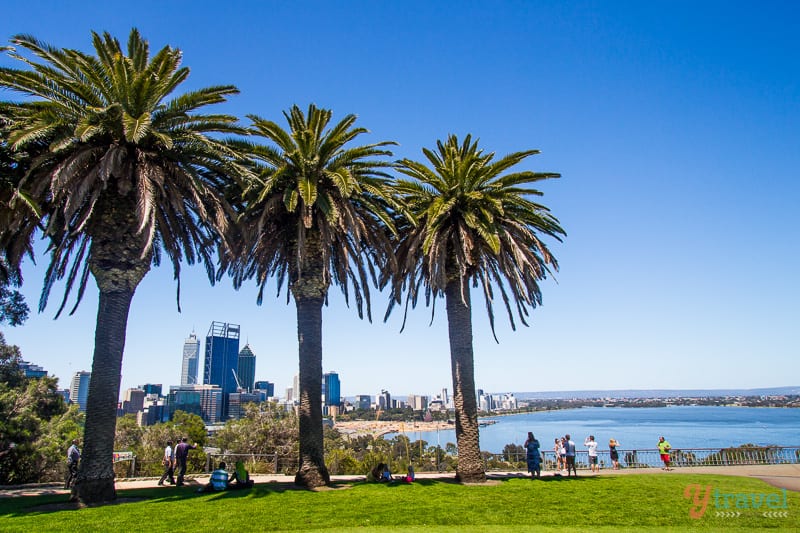 view of perth skyline from Kings Park, Perth, Western Australia 