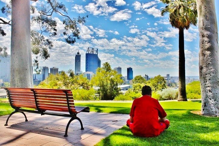 man sitting on bench in Kings Park with view of Perth skyline