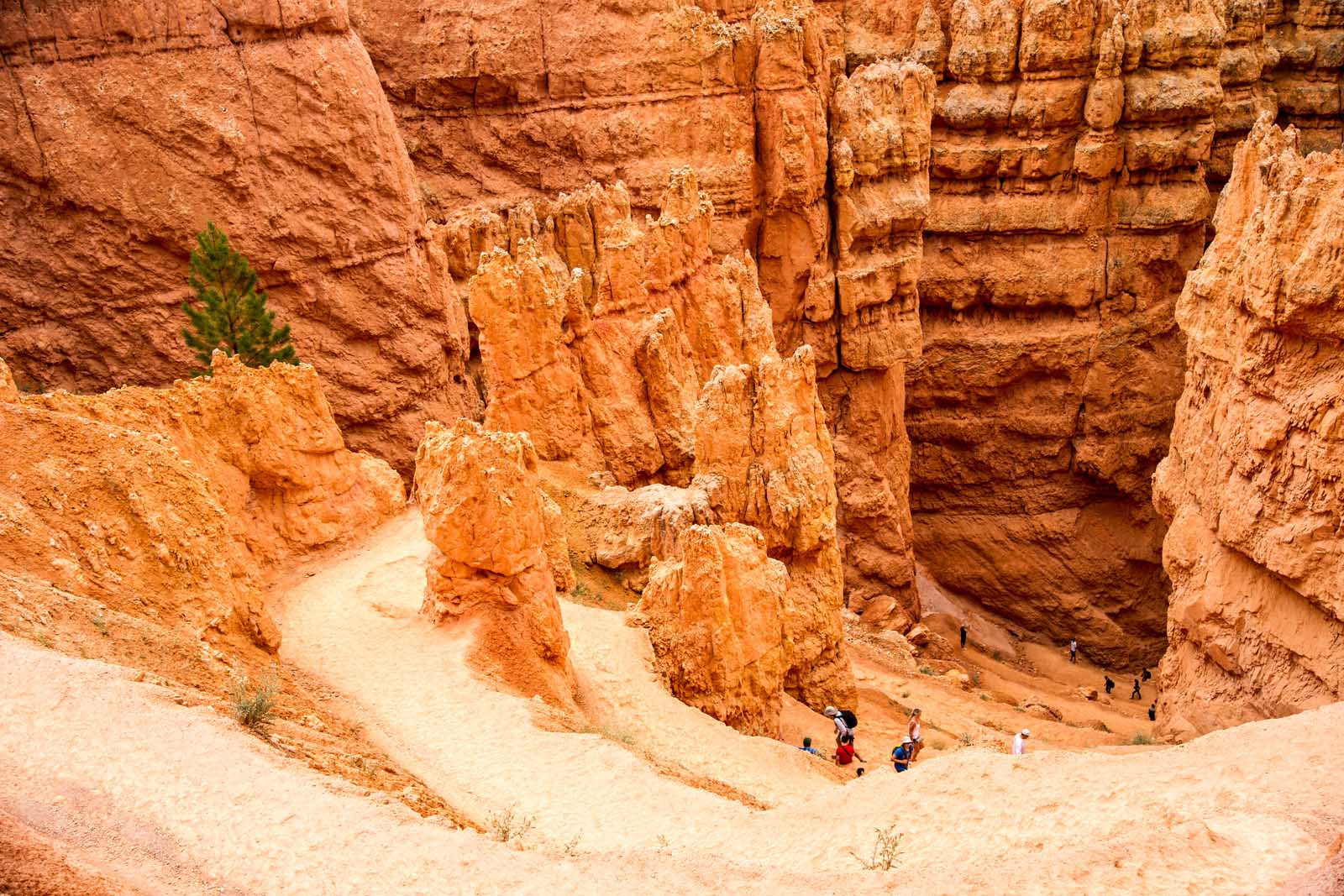 Popular Hikes in Bryce Canyon Navajo Loop Trail