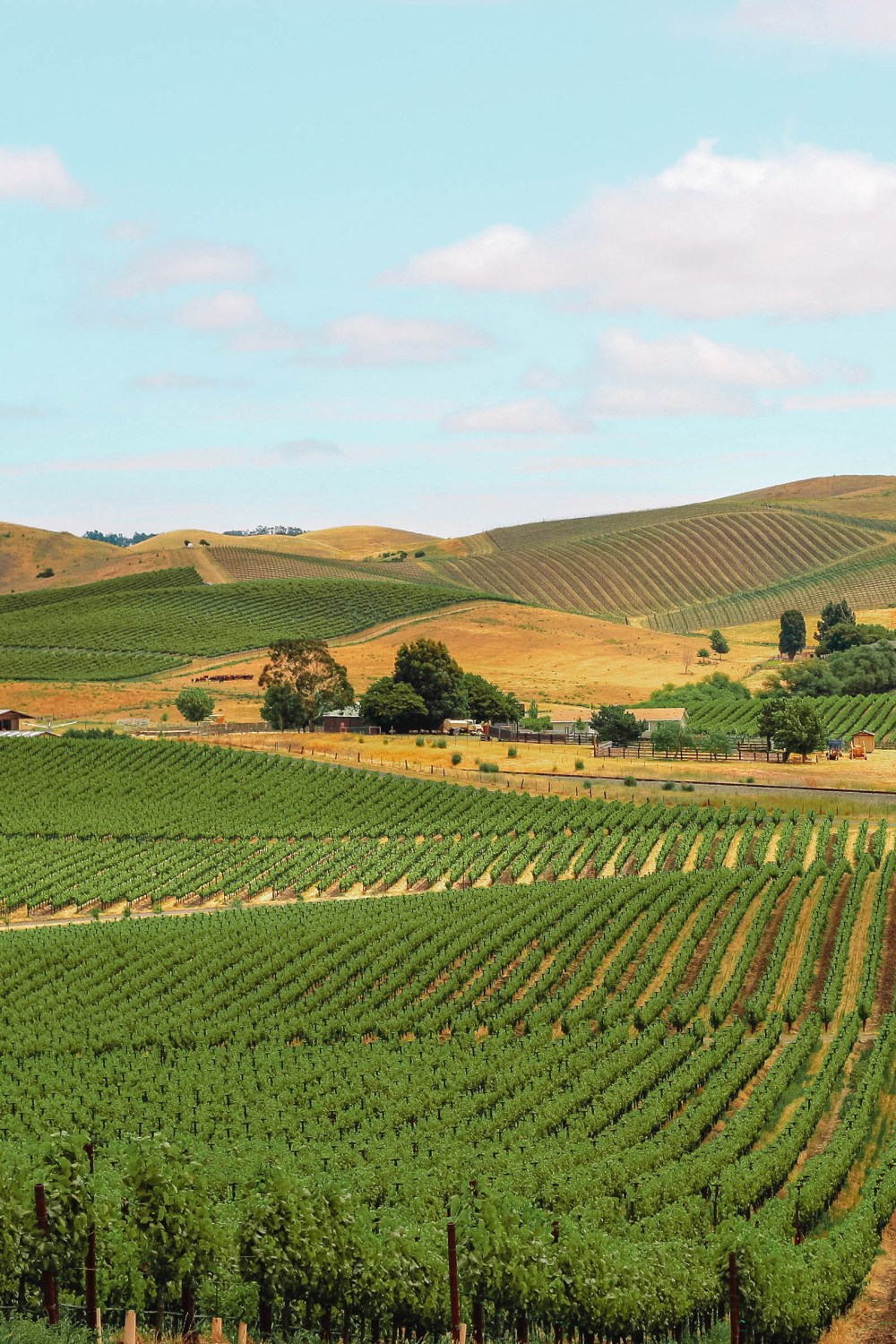 Best Places around Napa Valley in California