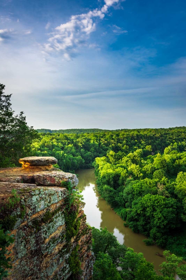 Best Hikes Near Nashville Harpeth Woods Trail in Harpeth River State Park