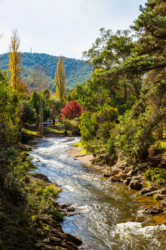 ovens river bright with trees on either side