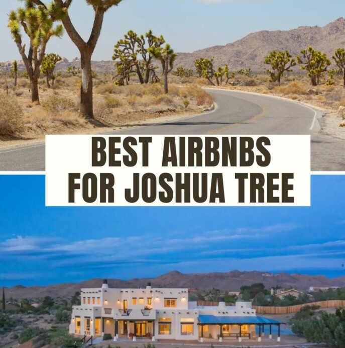 joshua tree airbnb