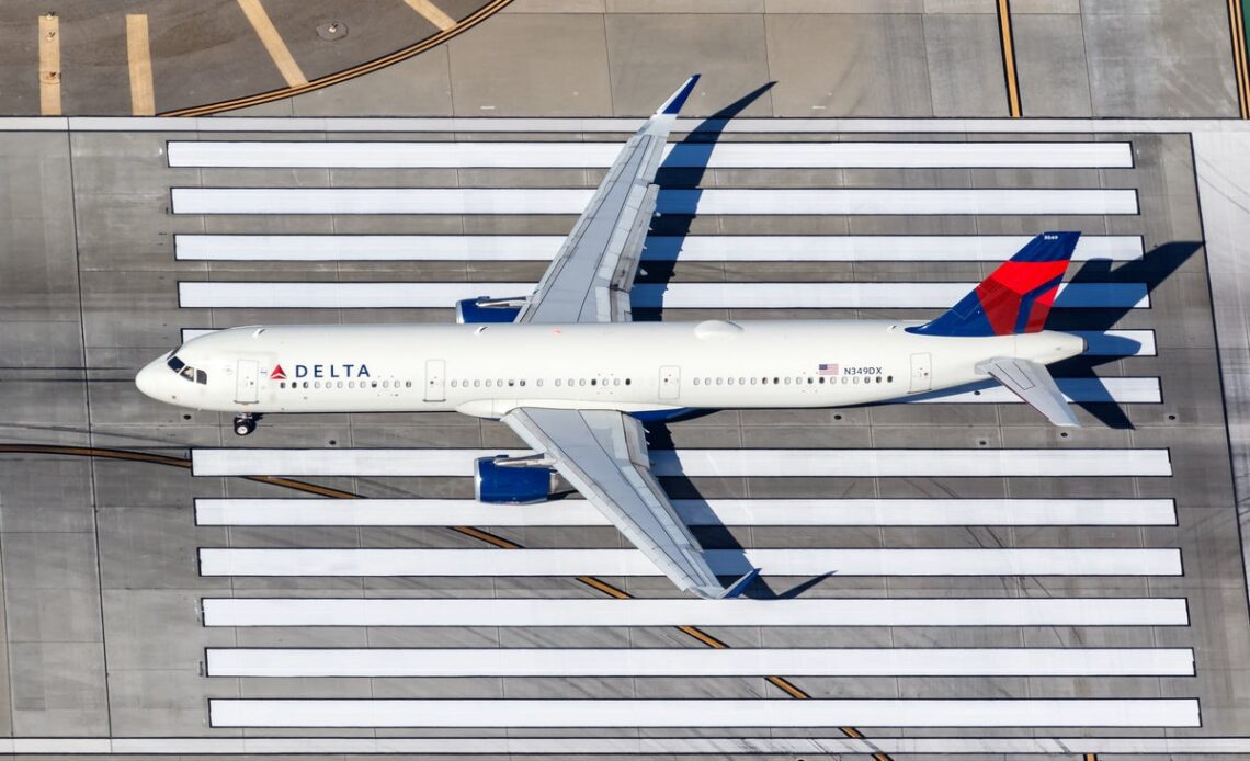 Delta flight delayed by bees on plane wing