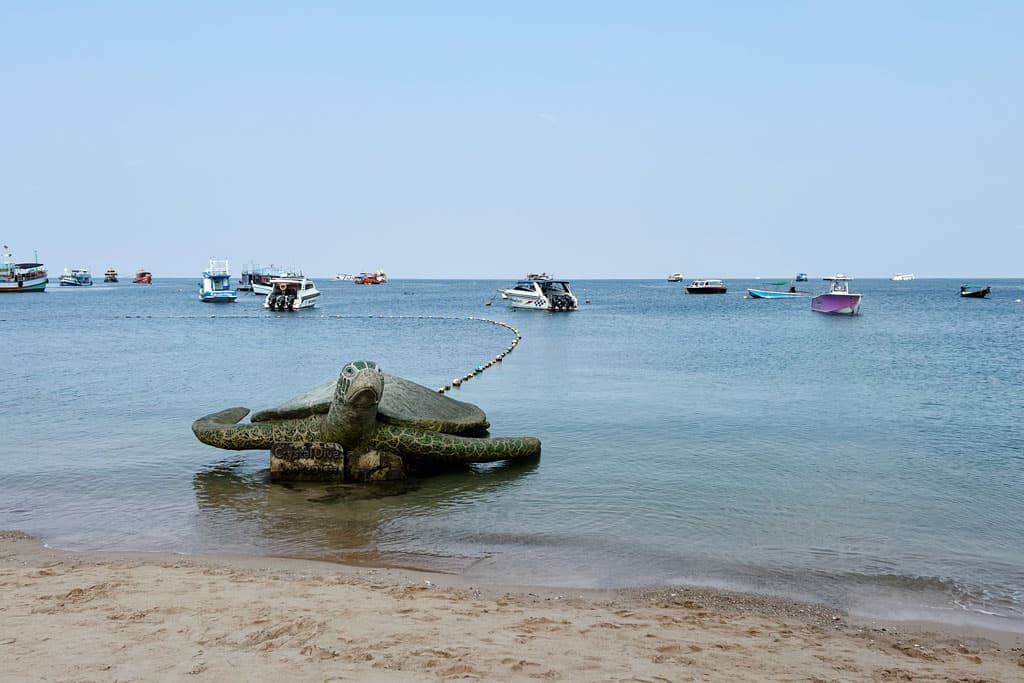 Turtle Statue Ecological Monitoring Program Koh Tao Course