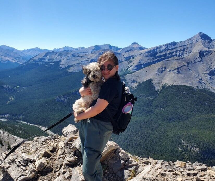 how to become a house sitter around the world. woman on a mountain hiking with a dog