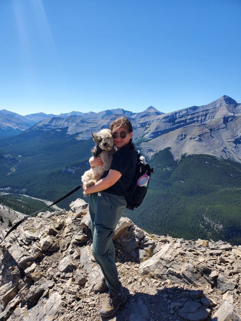 how to become a house sitter around the world. woman on a mountain hiking with a dog