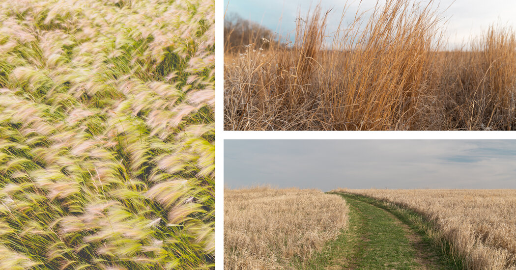 Lincoln, Nebraska, Was a ‘Greenwich Village’ on the Prairie for Mari Sandoz