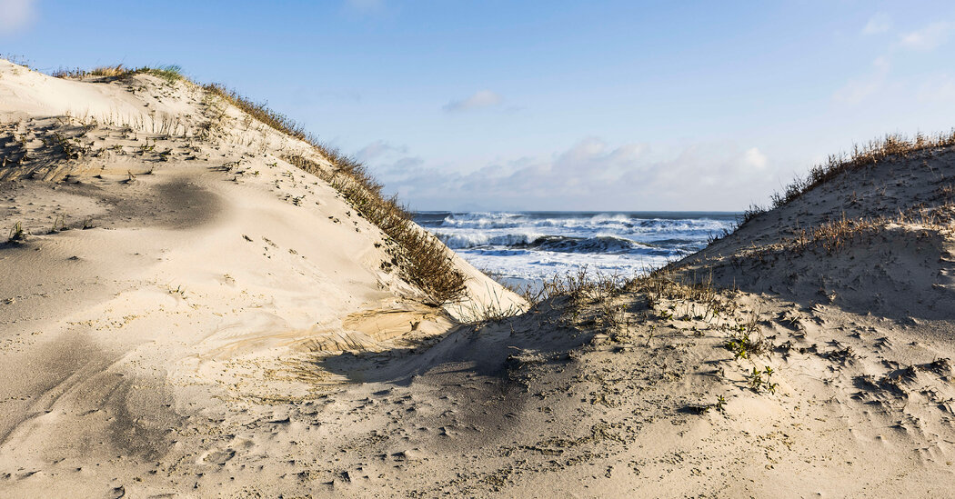 Virginia Teenager Dies After He Is Buried in Sand From Dune Collapse