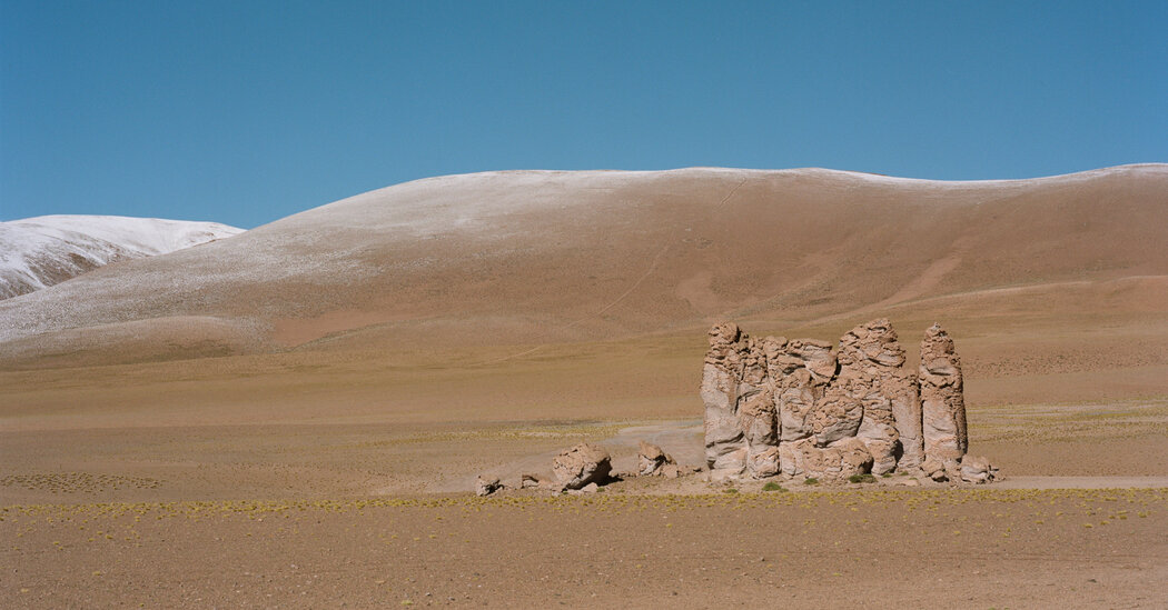 What Survives in the Atacama Desert?
