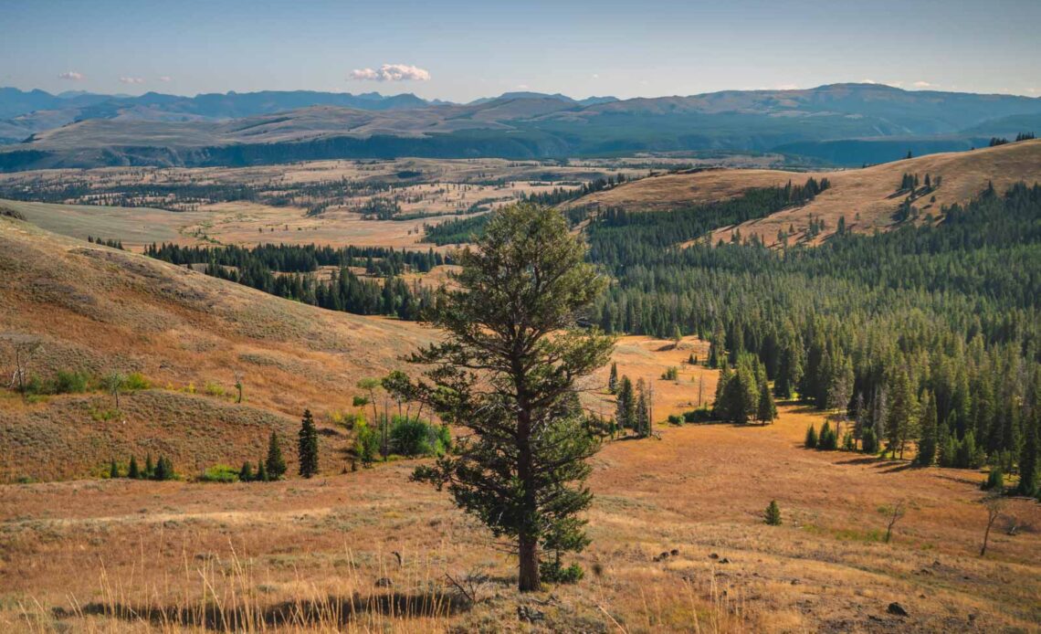 Best Yellowstone National Park Cabins