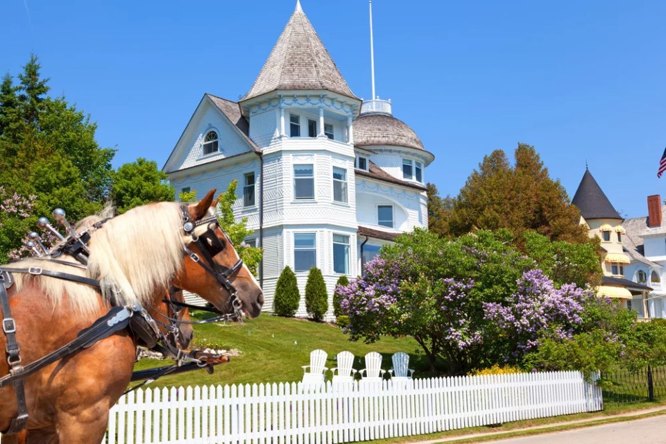 A team of horses pulling a carriage pose in front of a victorian home high on West Bluff Road - Riding bikes past these vintage homes is a popular vacation pastime on beautiful Mackinac Island in northern Michigan