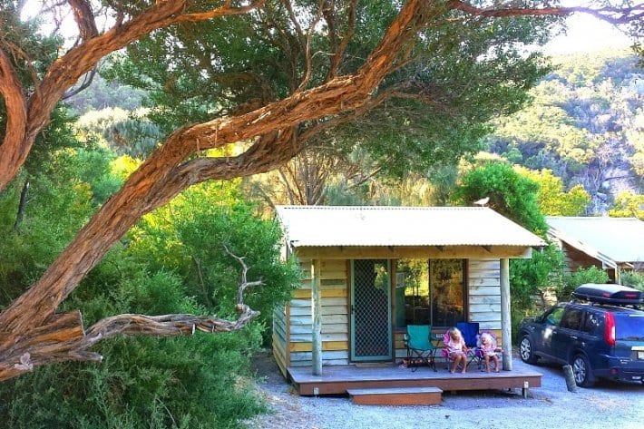 small house next to a large tree