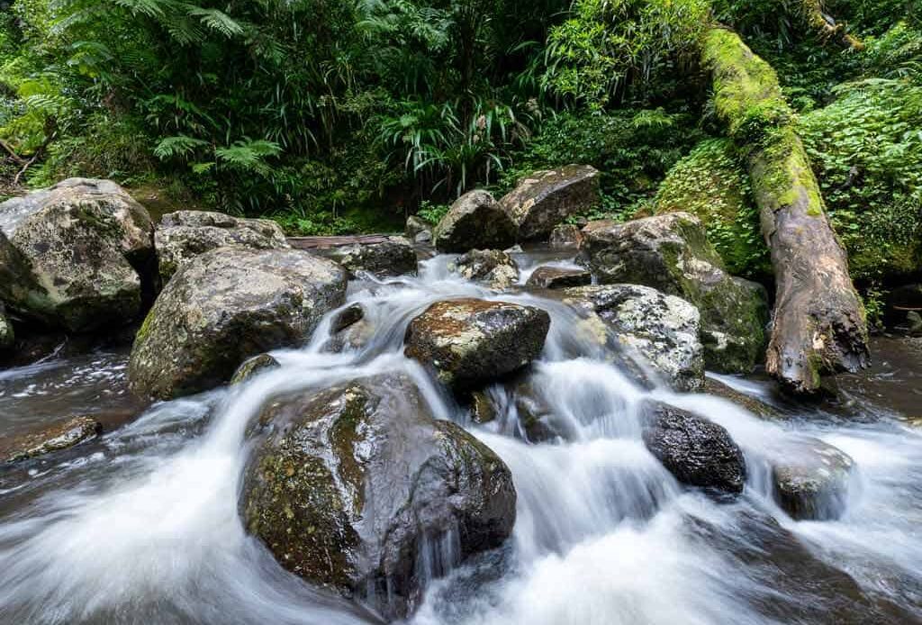 Lamington National Park Hikes Queensland