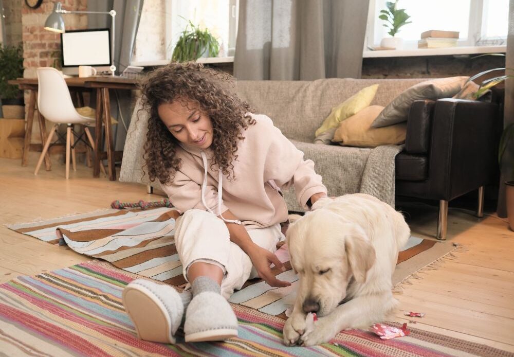 Young happy woman sitting on the floor and playing with her pet in the room