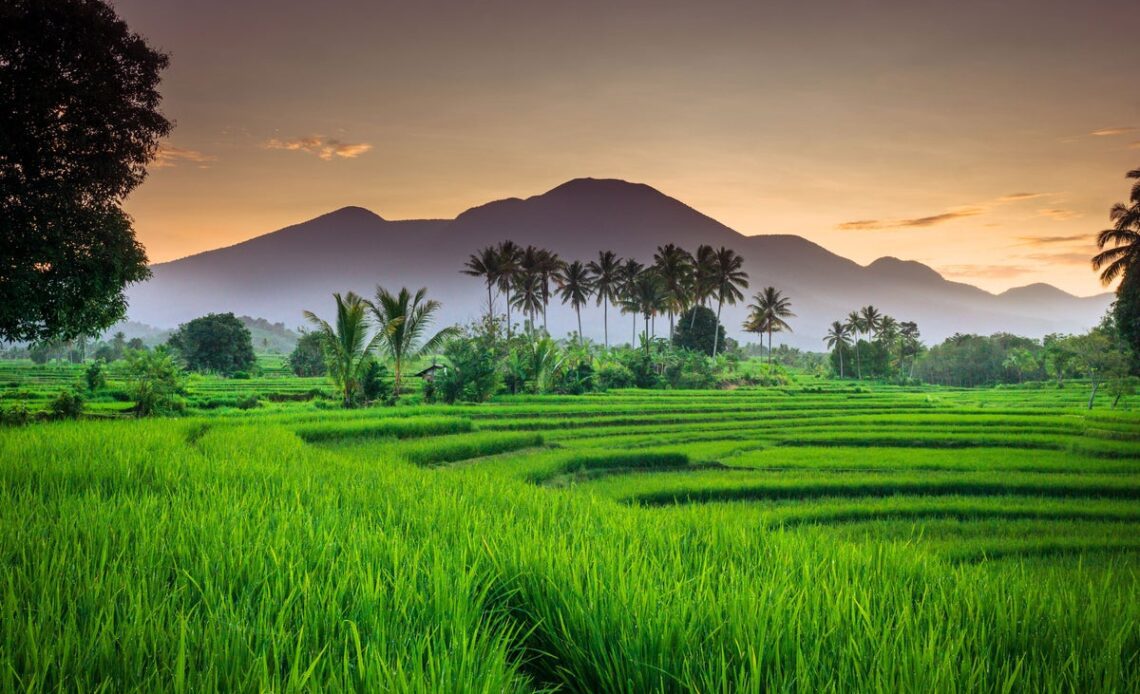 Bali bans tourists from mountain climbing due to poor behaviour, governor announces