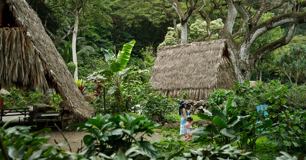 Five Places to Visit in Oahu, Hawaii, With Singer Jack Johnson