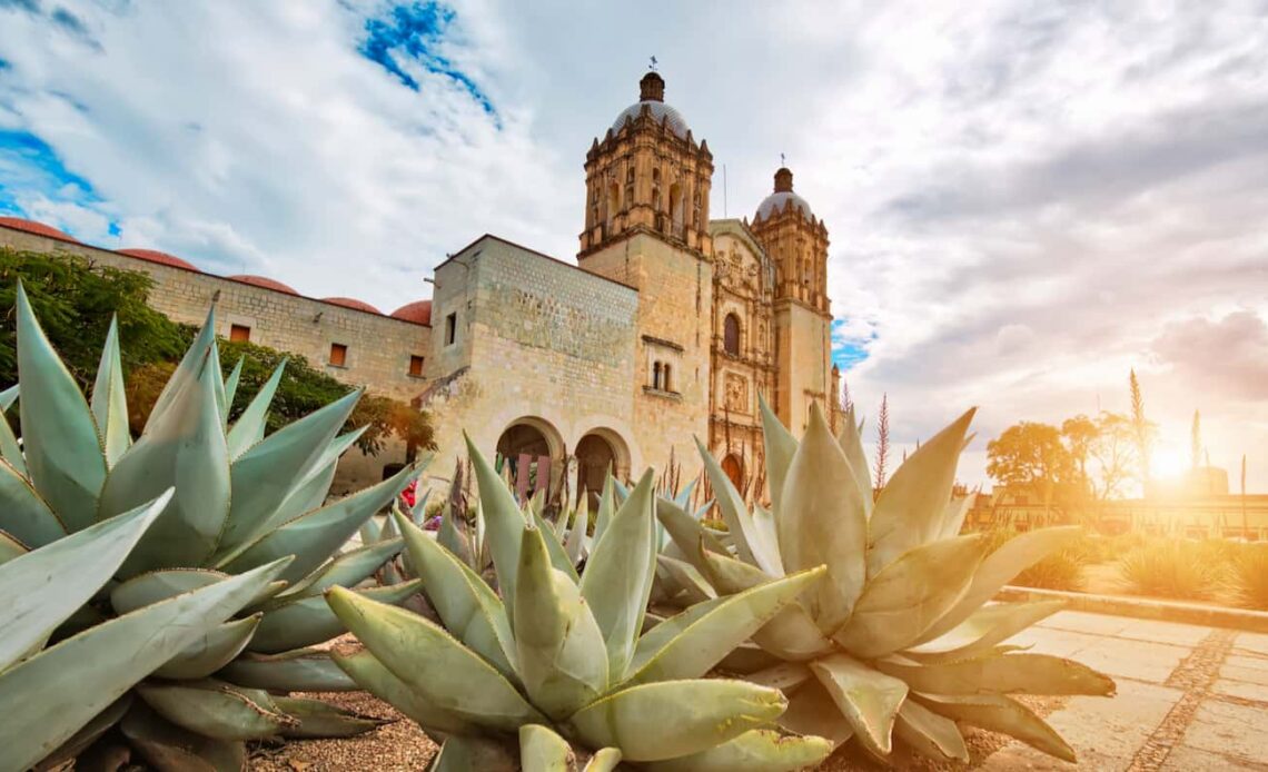 The historic church in Oaxaca, Mexico with plants in the foreground and the sun bright in the background