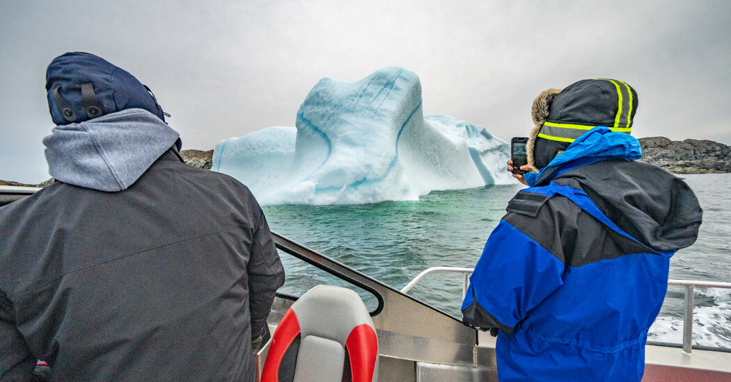 In Search of Iceberg Alley’s Spectacular Show