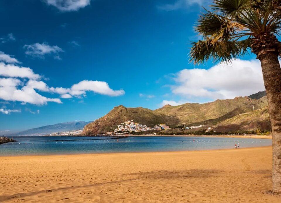 Warm sand and palm trees on Playa de las Teresitas Beach, Tenerife