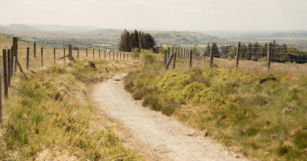 Walking 36 Miles Through the Wales Countryside