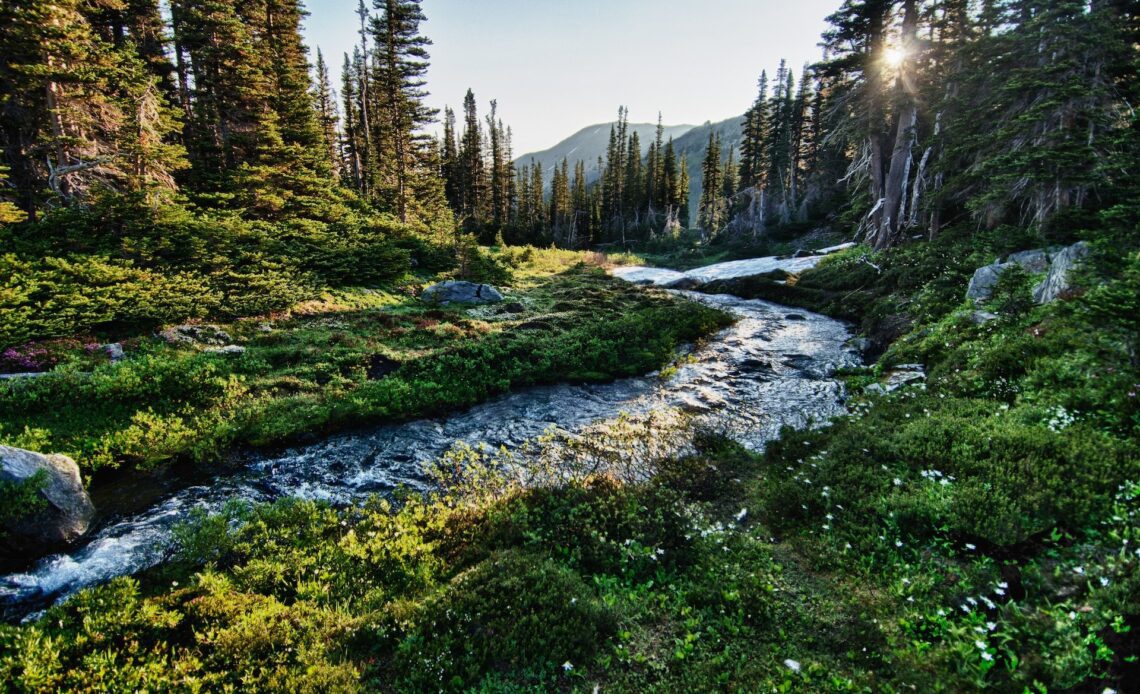 Olympic National Park (photo: Jachan DeVol)