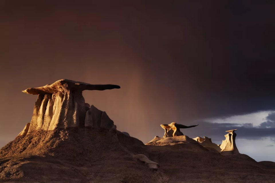 The Wings, bizarre rock formations in Bisti Badlands, New Mexico, USA