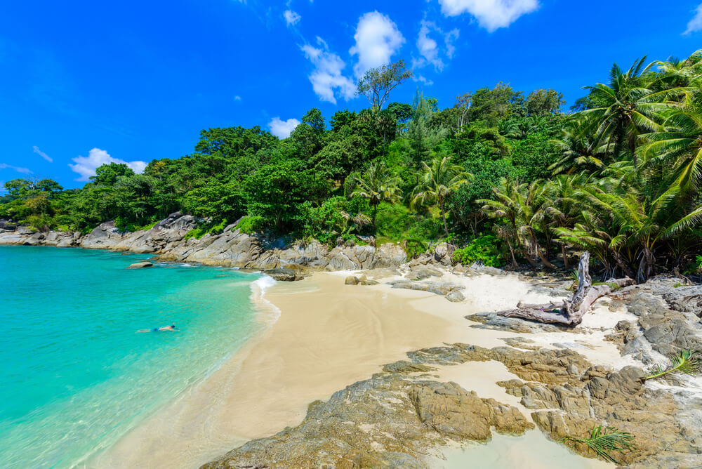 freedom beach with rocks and palm trees