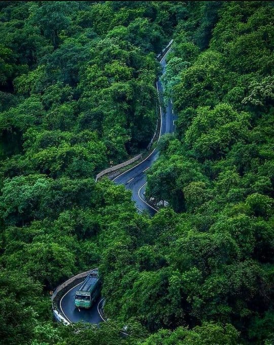 Ooty Coonoor Mountain Road, India