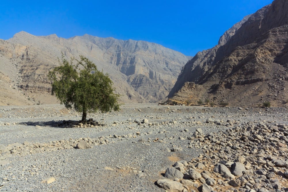 Wadi Ghalilah is one of the best natural areas in Dubai