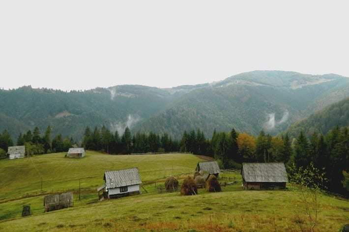 A field with a mountain in the background