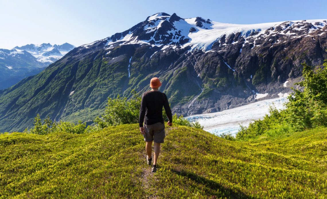 8 Best Kenai Fjords Tours Through Alaska's Wild Wonderland