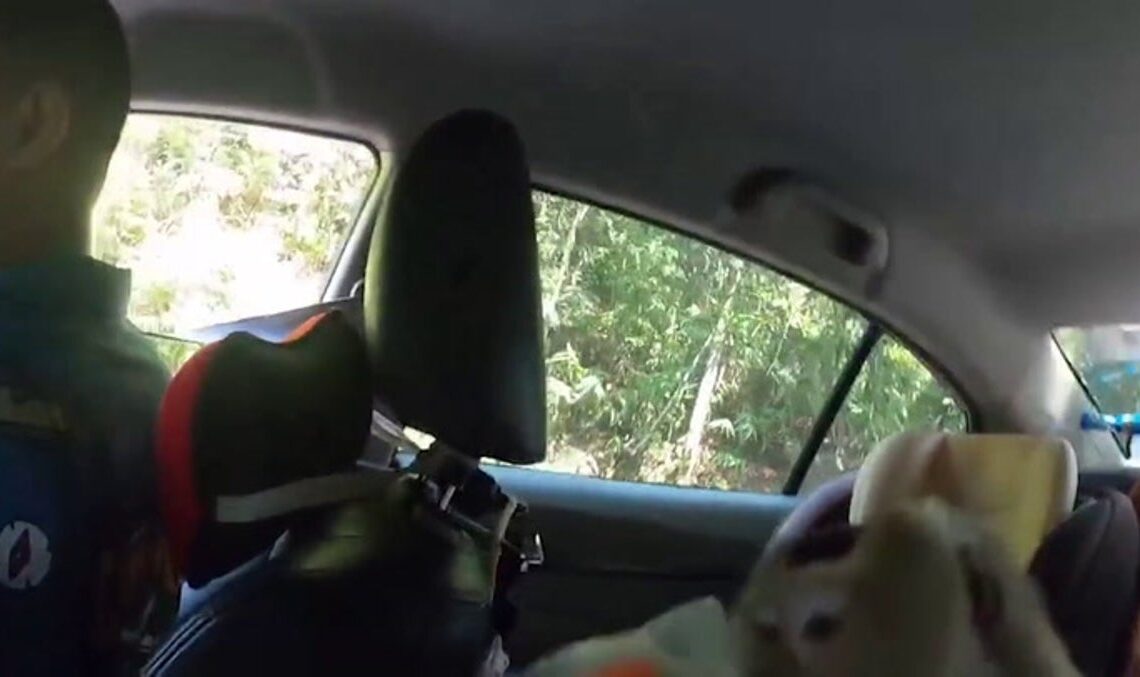 Brazen monkey climbs inside moving car to steal food | News