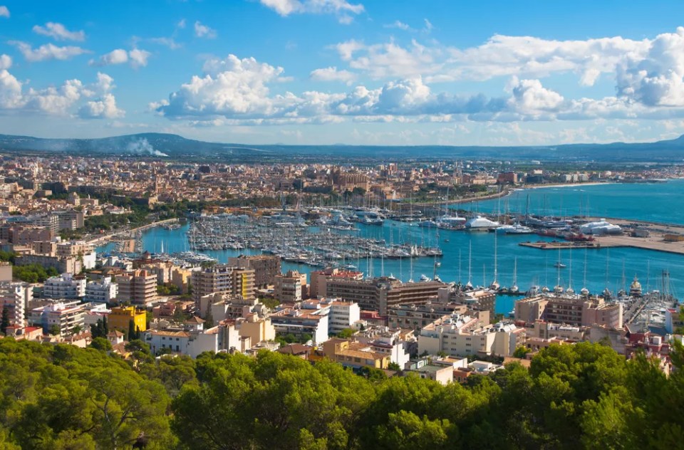 The City Palma de Majorca from a bird's eye view