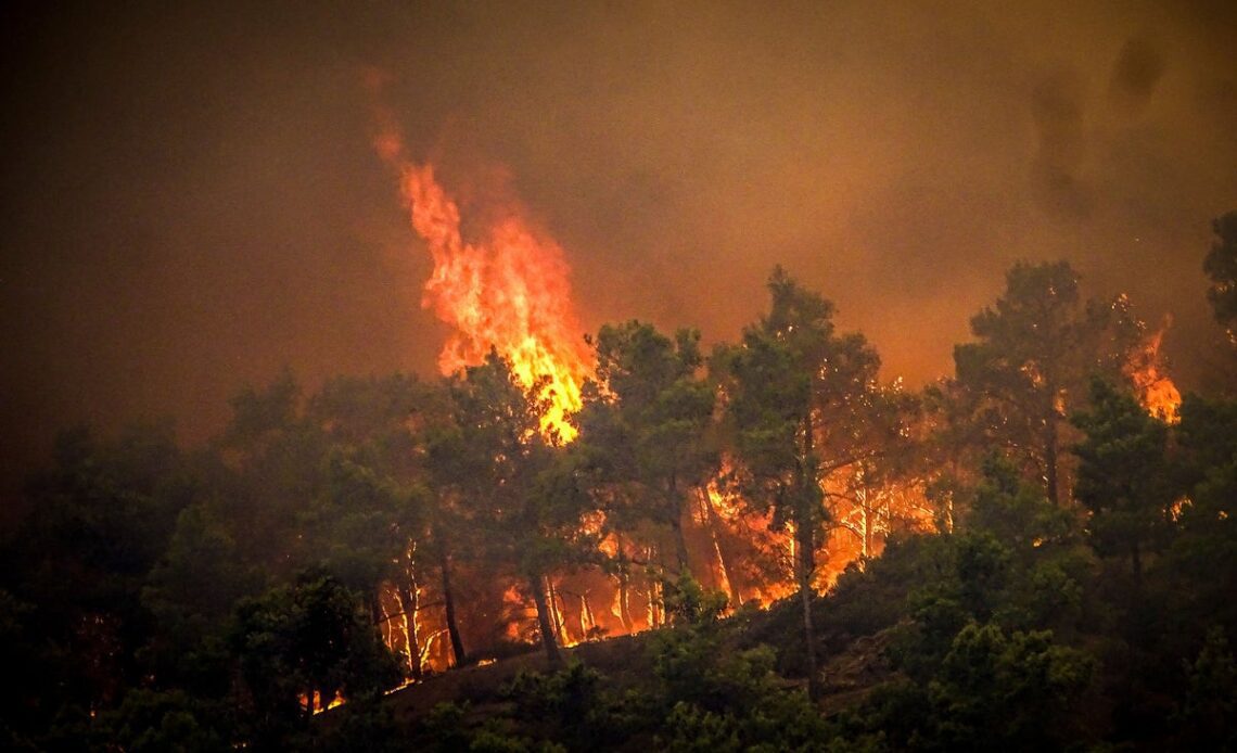 First repatriation flights due to arrive on fire-ravaged Rhodes to rescue British holidaymakers