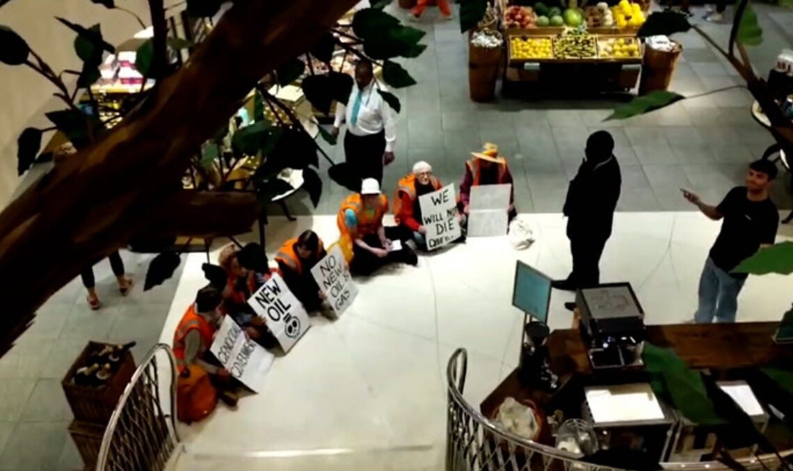 Just Stop Oil activists stage sit-down protest at Fortnum & Mason | News