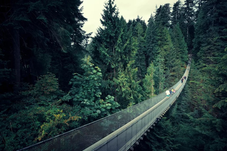 Capilano Suspension Bridge in Vancouver, Canada.