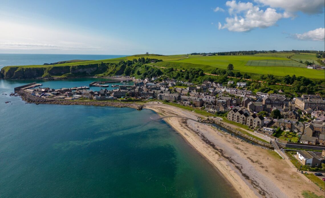 Tourists warned off visiting Scottish beach as disease kills hundreds of birds