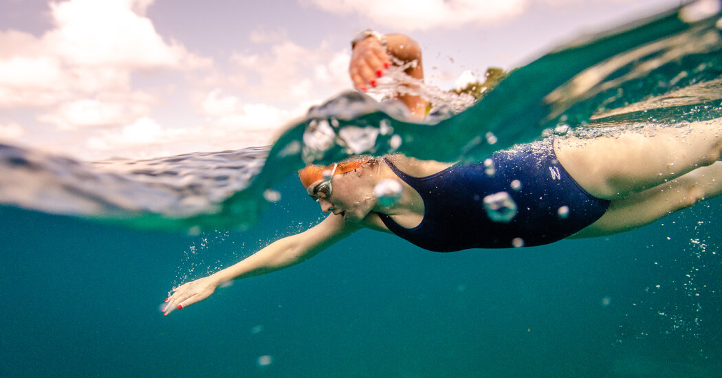 Tours for the Swimming-Obsessed - The New York Times