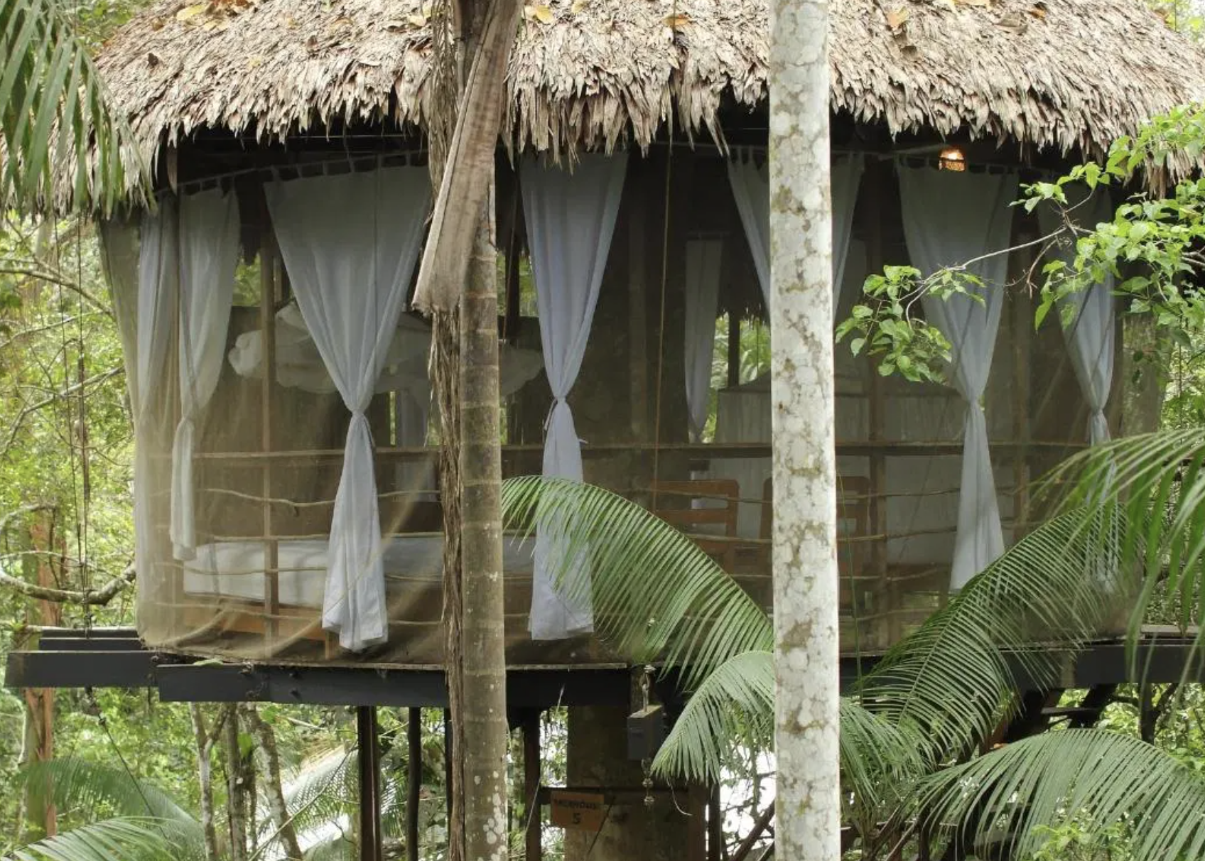 Treehouse Lodge - Peru