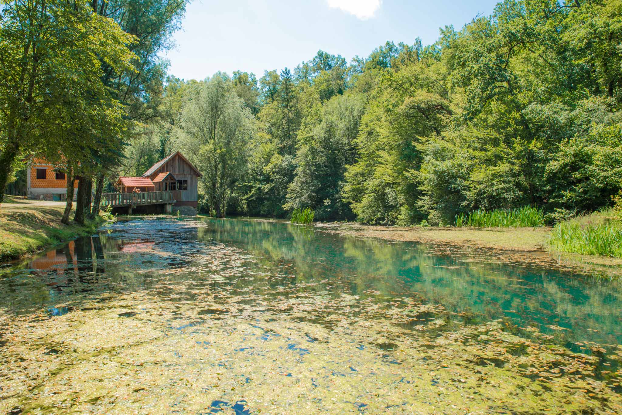 Glamping Slovenia