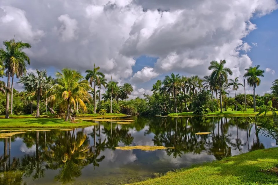 Fairchild tropical botanic garden, FL, USA