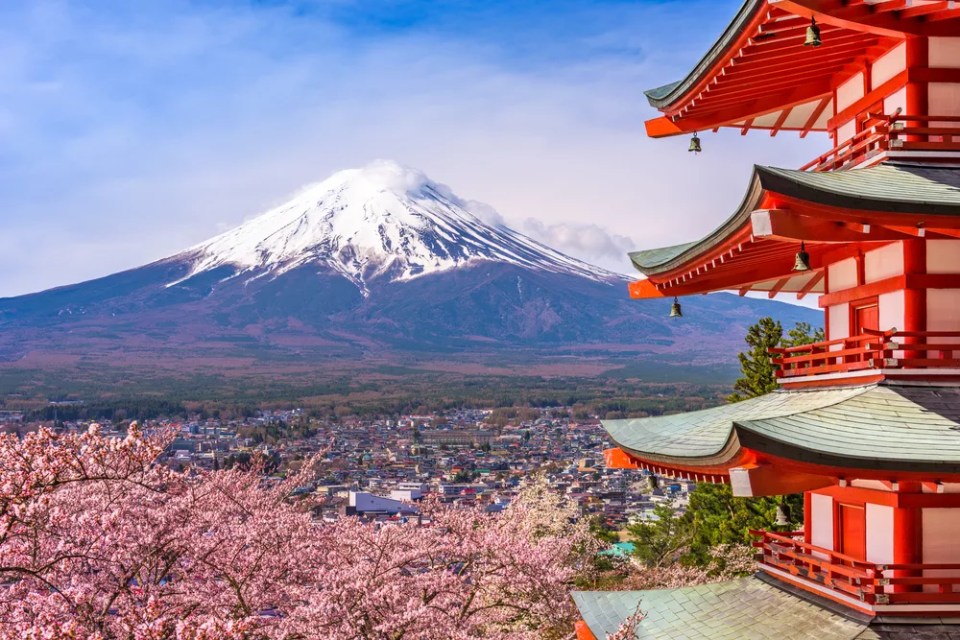 Fujiyoshida, Japan at Chureito Pagoda and Mt. Fuji in the spring with cherry blossoms.